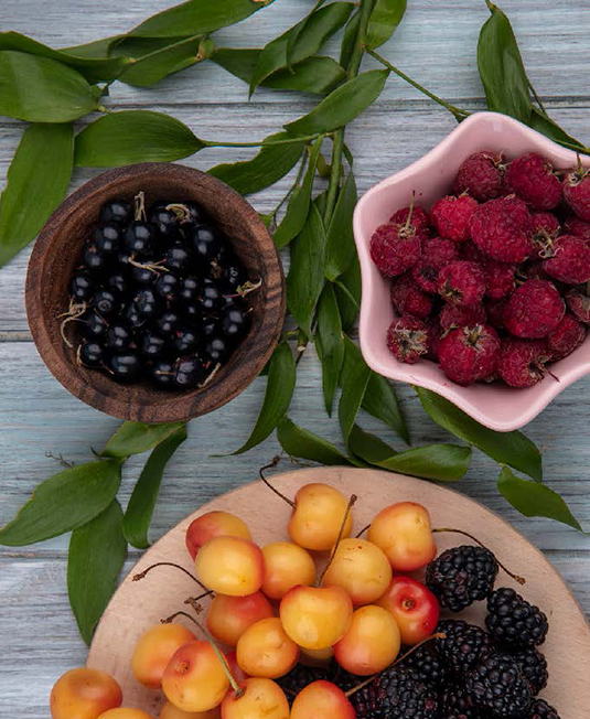 Heritage-Library-Herbs-and-Wild-Fruits-img2