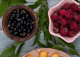 Heritage-Library-Herbs-and-Wild-Fruits